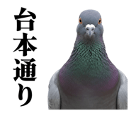 843199810