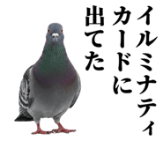843199815