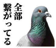 843199818