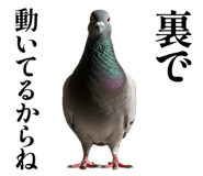 843199819