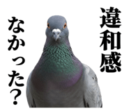 843199820