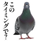 843199823