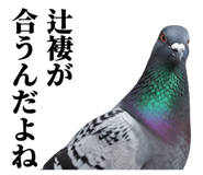 843199824