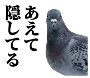 843199825