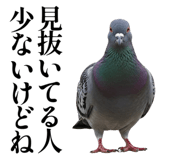 843199827