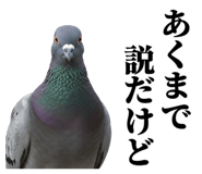 843199828
