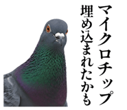 843199829