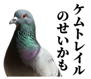 843199830