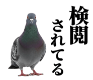 843199834