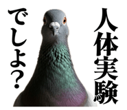 843199842