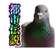 843199845