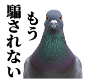 843199848