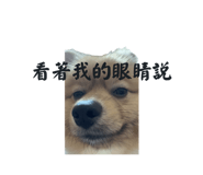 843199932