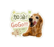843200000