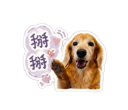 843200005