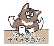 843200053