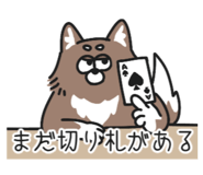 843200054
