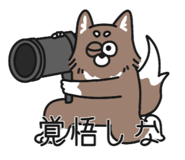 843200059