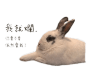 843200453