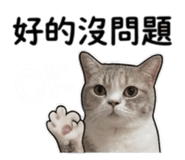 843200687