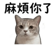 843200688