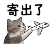 843200699