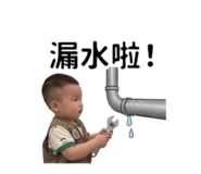 843201206