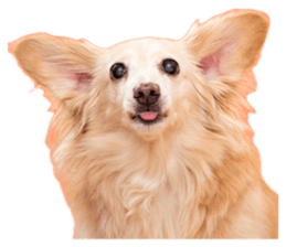 843201465