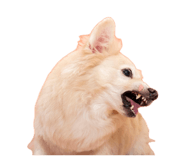 843201499