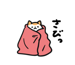 8432020