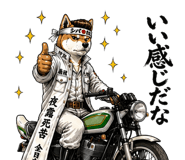 843202234