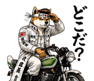 843202237
