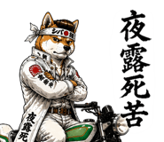 843202241