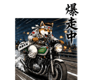 843202244