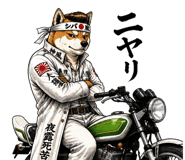 843202247