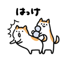 8432025