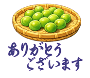 843202675