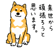 843202729