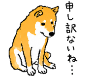 843202730