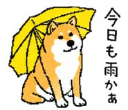 843202731