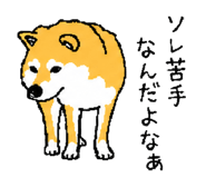 843202732
