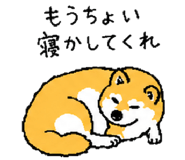 843202733