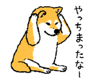 843202734