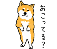 843202735
