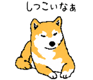 843202738