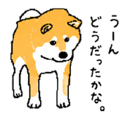 843202742