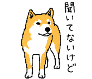 843202748