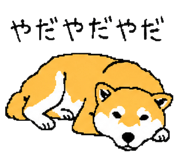 843202749