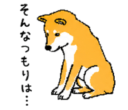 843202750