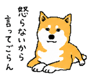 843202752